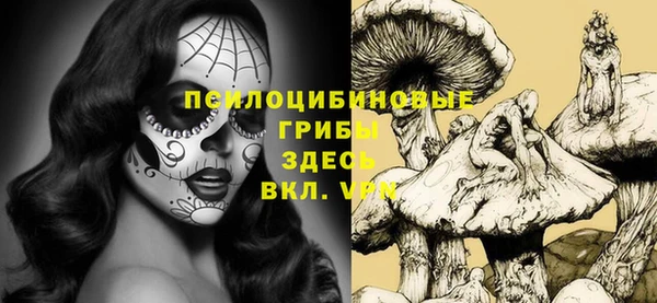 прущий лед Балабаново