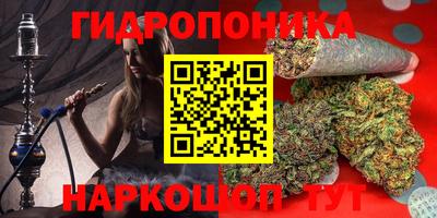 прущие грибы Краснокаменск