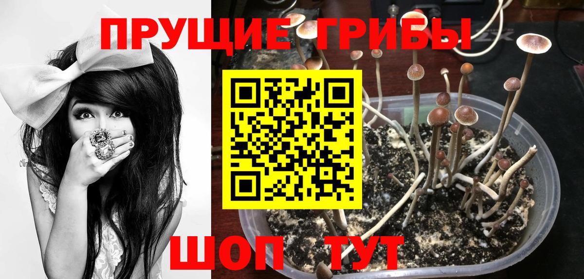 Псилоцибиновые грибы Magic Shrooms  Вход с VPN  Волхов 